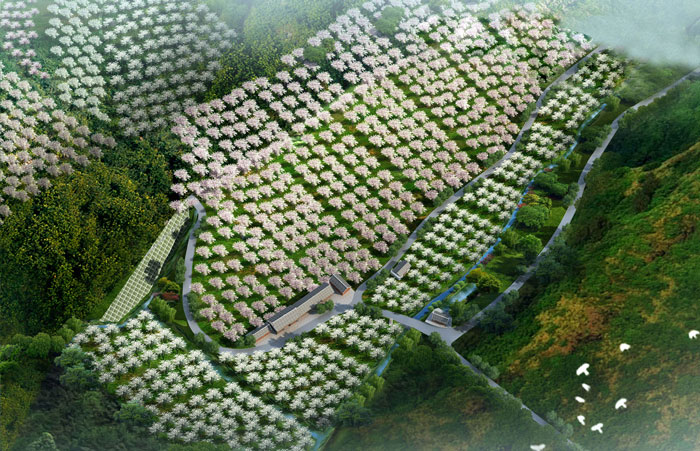 1512443433300017137.jpg 5.jpg