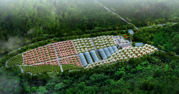 1512443839466059901.jpg 13.jpg