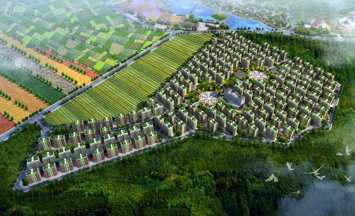 1512444315106089392.jpg 23.jpg