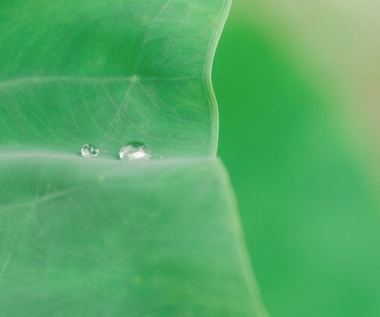 1576650622082010277.jpg 小.jpg